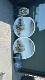 plexiglas fotolijst van verschillende dieren nieuw!, Ophalen of Verzenden, Zo goed als nieuw