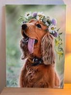 Schilderij van een Cocker Spaniel met bloemenkrans, Antiek en Kunst, Ophalen of Verzenden