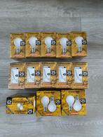 Kwantum gloeilampen 25W - Nieuw! 13x 2 stuks, Huis en Inrichting, Ophalen of Verzenden, Nieuw