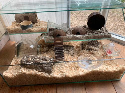 Knaagdierenkooi (gerbils - woestijn ratjes) zonder toeveho, Dieren en Toebehoren, Knaagdieren en Konijnen | Hokken en Kooien, Gebruikt