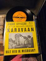 Herman lippinkhof wat heb ik misdaan, Cd's en Dvd's, Vinyl | Nederlandstalig, Ophalen of Verzenden, Zo goed als nieuw, Overige formaten