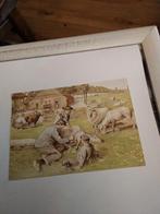 C. JETSES. WANDPLATEN, Verzamelen, Ophalen of Verzenden, Sterren en Beroemdheden