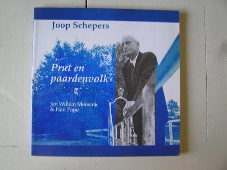Almelo. Joop Schepers. Prut en paardenvolk., Boeken, Geschiedenis | Stad en Regio, Zo goed als nieuw, Ophalen of Verzenden