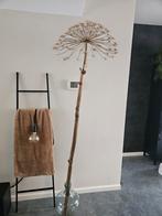 Berenklauw groot gedroogd lengte 2meter, Ophalen of Verzenden, Zo goed als nieuw