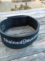 Lifting belt met clip, Ophalen of Verzenden, Zo goed als nieuw, Overige typen