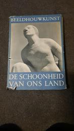 Beeldhouwkunst van deze eeuw, Antiek en Kunst, Ophalen of Verzenden