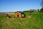 Trespa Kippenhok / Chalet 4XL - Cucciolotta