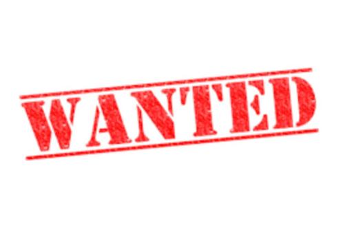 GEZOCHT stucadoor Wanted, Diensten en Vakmensen, Stukadoors en Tegelzetters
