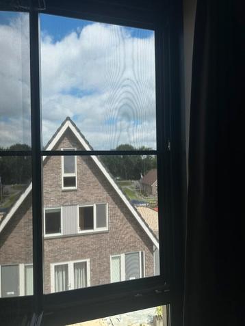 Raam horren beschikbaar voor biedingen