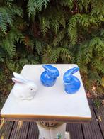 Haasjes 3 stuks., Ophalen of Verzenden, Dier