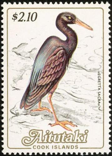 AITUTAKI 31 - Dieren: vogels (rifreiger) beschikbaar voor biedingen