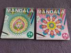 Diversen rondom mandala's & mandala's inkleuren, Ophalen of Verzenden, Zo goed als nieuw