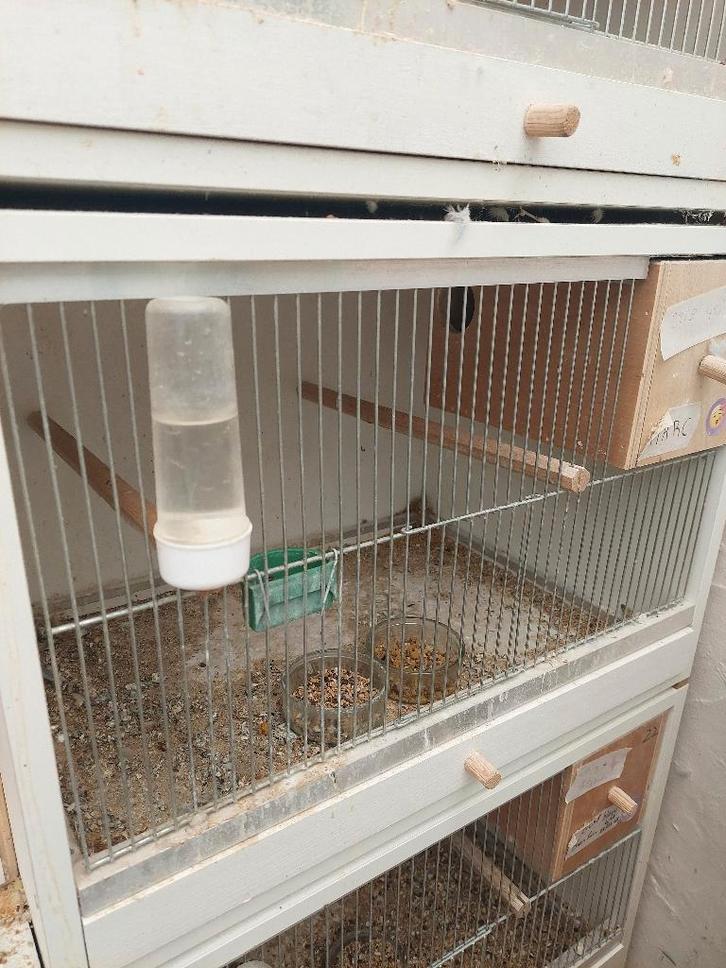 Kweekkooien met kweekblok 1 stuk, Dieren en Toebehoren, Vogels | Hokken en Kooien, Broedkooi of Kweekkooi, Hout, Ophalen