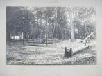 Paterswolde - Speeltuin Hotel Twee Provincien ca. 1920, Verzamelen, Ophalen of Verzenden, Voor 1920, Gelopen, Drenthe