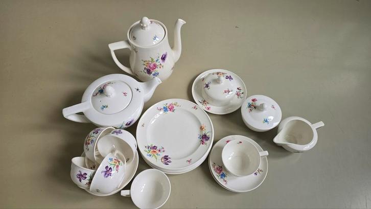 Thee/koffie servies Regout Maastricht, Antiek en Kunst, Antiek | Servies compleet, Ophalen of Verzenden