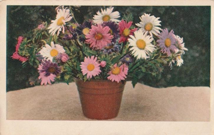 BLOEM BLOEMEN JAREN 50-60 ZEER MOOIE OUDE KAART KJ453, Verzamelen, Ansichtkaarten | Themakaarten, Gelopen, 1940 tot 1960, Overige thema's