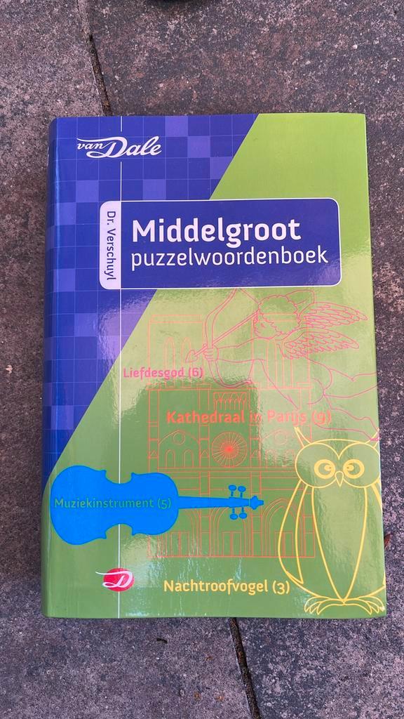 Verschuyl - Middelgroot puzzelwoordenboek, Boeken, Hobby en Vrije tijd, Zo goed als nieuw, Ophalen of Verzenden