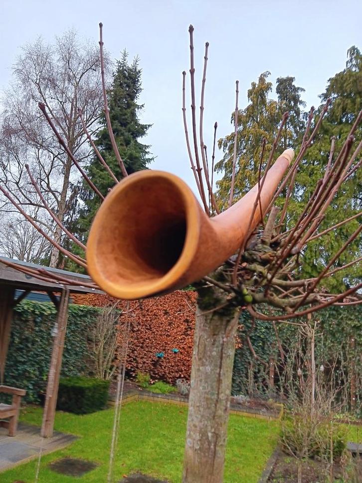 Te koop : fraaie berken didgeridoo ,gold., Muziek en Instrumenten, Blaasinstrumenten | Didgeridoos, Verzenden