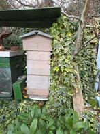 Warré bijenkast, Bijen