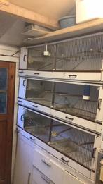 Broedkooi, Dieren en Toebehoren, Vogels | Hokken en Kooien, Ophalen of Verzenden, Zo goed als nieuw, Kunststof