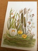 Marius Kolvoort, Verzenden