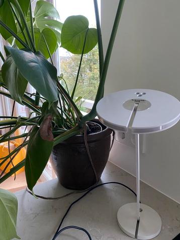 Artemide ITIS lampje. 2x. Overbodig ivm kleiner wonen beschikbaar voor biedingen