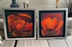 2 schilderijen klaprozen gesigneerd F I., Antiek en Kunst, Kunst | Schilderijen | Abstract, Ophalen of Verzenden