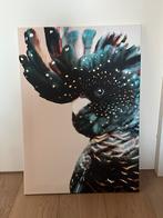 canvas van een Kaketoe  50 bij 70 cm, Ophalen of Verzenden, Zo goed als nieuw, Schilderij, 50 tot 75 cm
