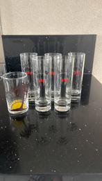 Malibu glazen, Ophalen of Verzenden, Zo goed als nieuw