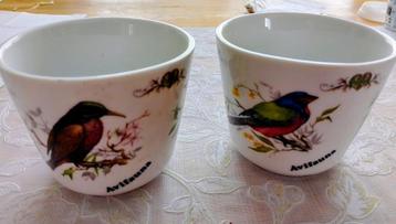 Avifauna witte bloempot ten beschikbaar voor biedingen
