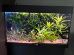 Aquarium Juwel RIO 125, Nieuw, Ophalen, Gevuld zoetwateraquarium