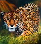 Tropische panter/luipaard zittend, Ophalen of Verzenden