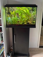 Aquarium+meubel en toebehoren, Dieren en Toebehoren, Vissen | Aquaria en Toebehoren, Ophalen, Gebruikt, Gevuld zoetwateraquarium