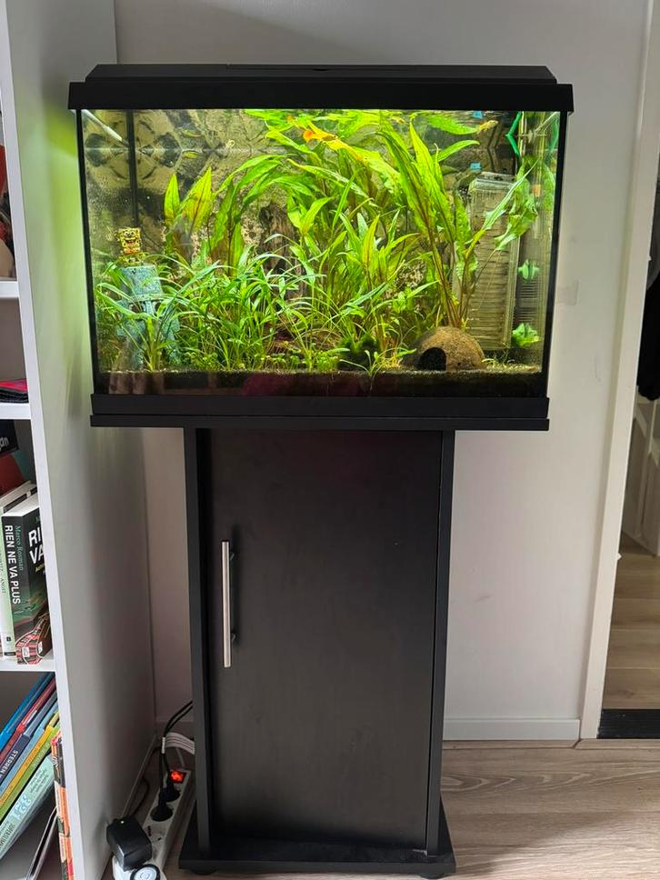Aquarium+meubel en toebehoren, Dieren en Toebehoren, Vissen | Aquaria en Toebehoren, Gebruikt, Gevuld zoetwateraquarium, Ophalen