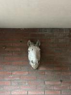 Stenen paardenhoofd, Dieren en Toebehoren, Vogels | Duiven, Meerdere dieren, Overige soorten