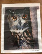 DP Uil 2.0 R.S. Size:50x40cm 11 Kleuren, Ophalen, Nieuw