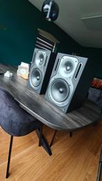 Studio monitoren (weinig gebruikt) Behringer truth B2031A, Audio, Tv en Foto, Luidsprekers, Zo goed als nieuw, 120 watt of meer