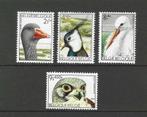 België 1706-1709 vogels fauna 1972 serie PF, Verzenden, Postfris, Dier of Natuur