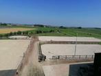1 stal te huur  per 1 juli, Dieren en Toebehoren, Stalling en Weidegang, 4273 LG 2, Adrienne, 1 paard of pony, Kivitsa@xs4all.nl