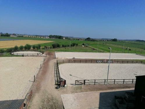 1 stal te huur  per 1 januari 2026, Dieren en Toebehoren, Stalling en Weidegang, Stalling, Weidegang, Toebehoren, 1 paard of pony