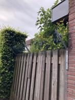 Hekwerk boven schutting / kattenhek, Ophalen, Gebruikt