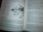 de vogels van vlieland KNNV veel info en afb 1968, Boeken, Ophalen of Verzenden, Gelezen, Overige onderwerpen