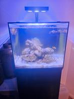Zee aquarium waterbox 20 zonderlevende have, Dieren en Toebehoren, Vissen | Aquaria en Toebehoren, Ophalen, Zo goed als nieuw