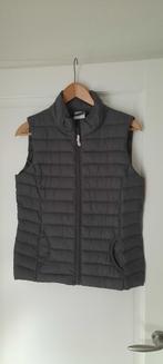 Nieuwe lichtgewicht bodywarmer Maat S  antraciet kleur, Ophalen of Verzenden, Nieuw, Maat 36 (S), Overige kleuren
