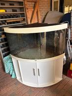 Juwel hoekaquarium trigion 350  wit 123X87X65, Dieren en Toebehoren, Ophalen, Zo goed als nieuw