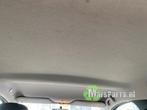 Hemelbekleding van een Renault Clio, Auto-onderdelen, Interieur en Bekleding, Gebruikt, -, Renault, -