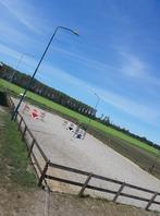 Pensionstalling, weidegang, binnen- en buitenbak etc., Weidegang, 1 paard of pony