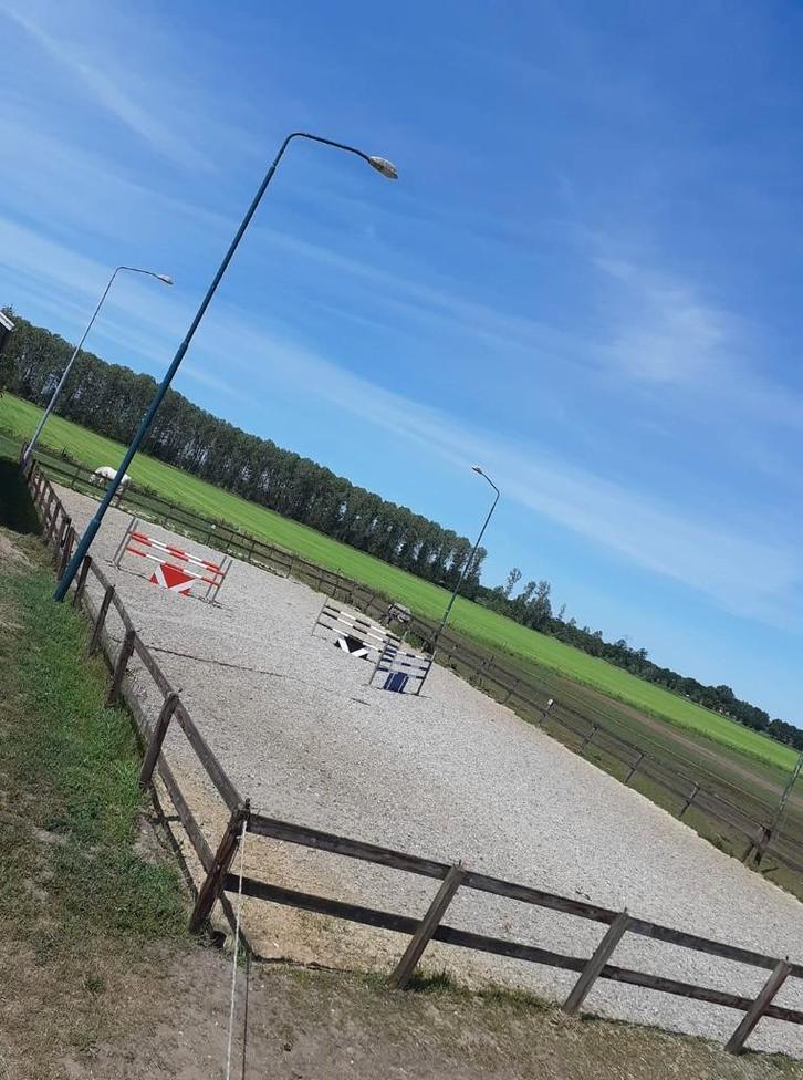 Pensionstalling, weidegang, binnen- en buitenbak etc., Dieren en Toebehoren, Stalling en Weidegang, Stalling, Weidegang, 1 paard of pony