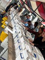Platenbeurs Dordrecht zondag 31 augustus Statenplein, Cd's en Dvd's, Ophalen, Zo goed als nieuw