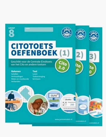 Cito Toets Oefenboek Groep 8 (PDF) beschikbaar voor biedingen